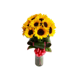 Regalos a Domicilio en Quito