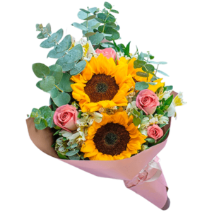 Regalos a Domicilio en Quito