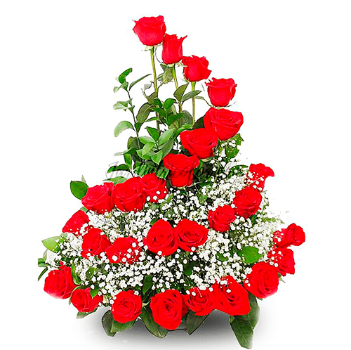 Regalos a Domicilio en Quito