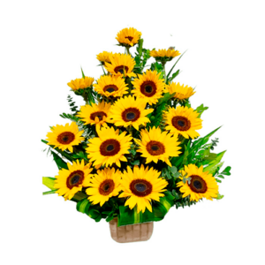 Regalos a Domicilio en Quito