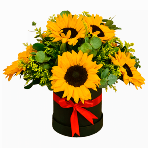 Regalos a Domicilio en Quito