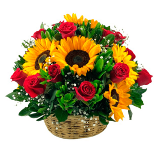 Regalos a Domicilio en Quito