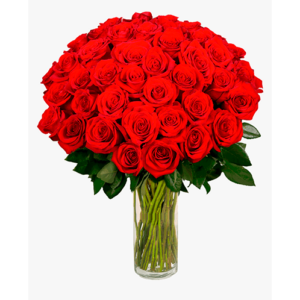 Regalos a Domicilio en Quito